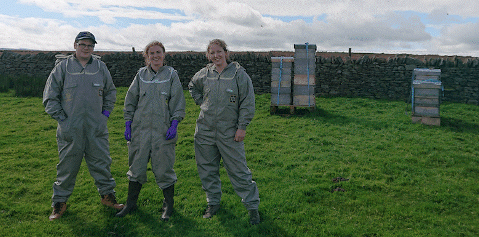 Employees at the Northumberland Honey Company and Meaders prepare to tend the bee hives.