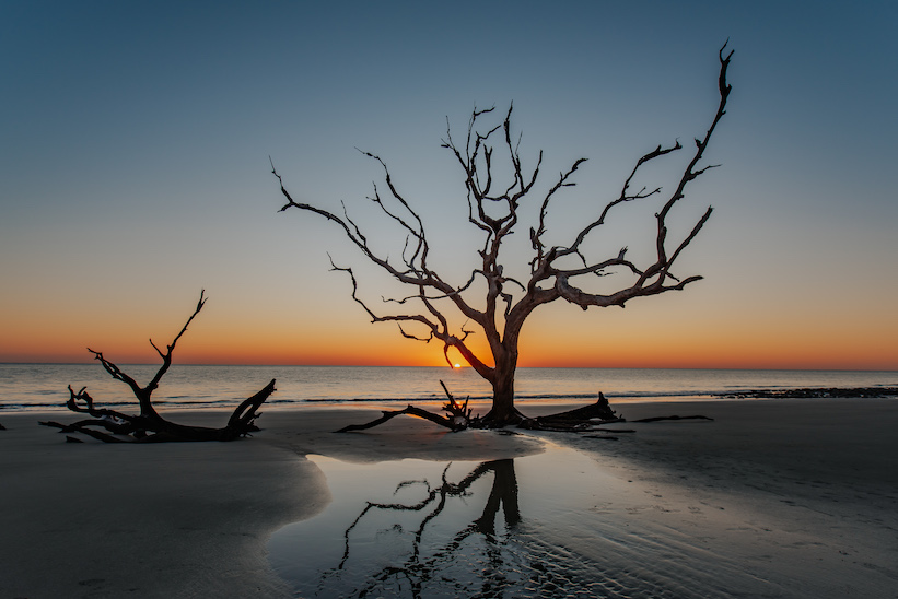 Jekyll Island's Driftwood Beach at Sunrise. Photo by Explore Georgia 