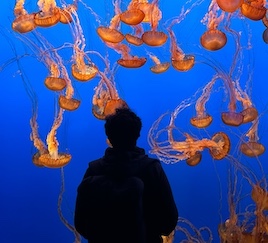 MBA-10 copy 2 MBA-10