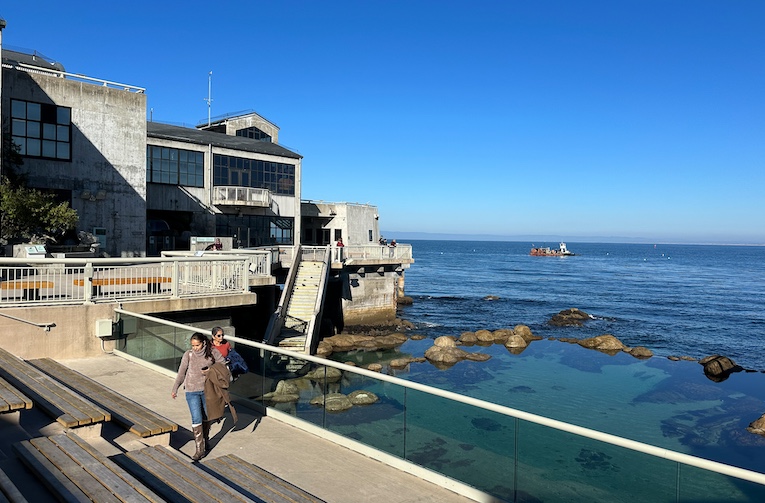 Great Tide Pool beside the Monterey Bay Aquarium