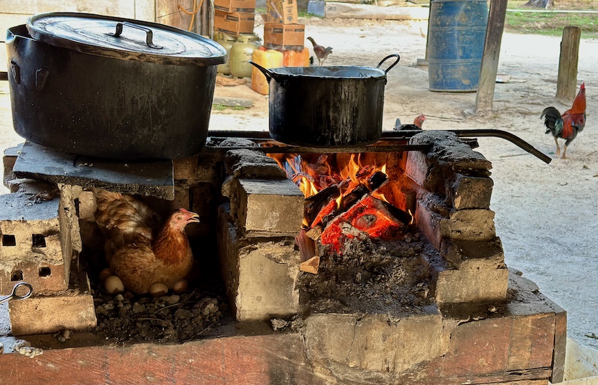 A delicious fish stew is prepared atop a cooking fire which also provides heat to a hen with eggs to hatch.