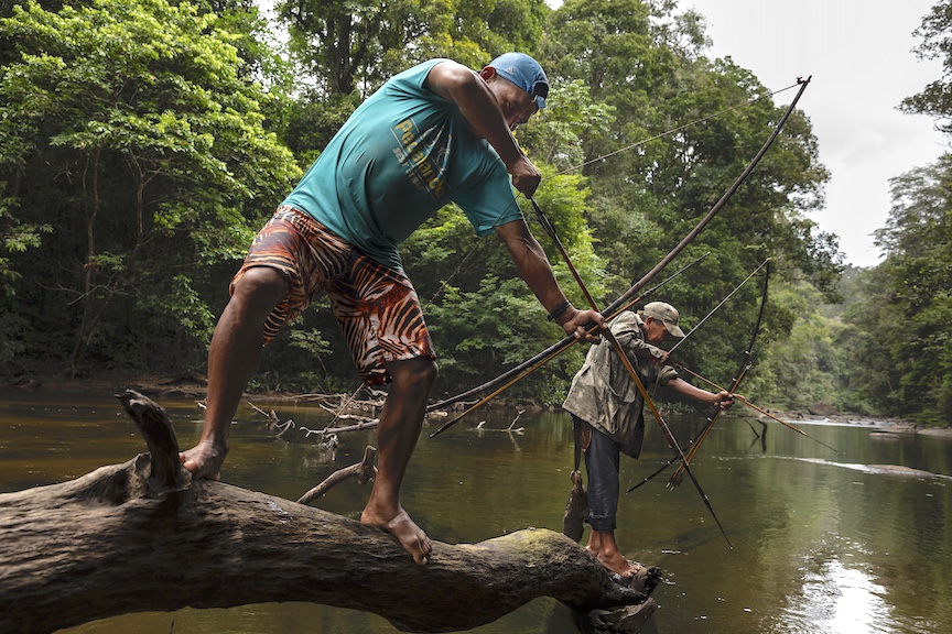 Indigenous inhabitants of the Guyana rainforest still use their bows and arrows to catch fish.