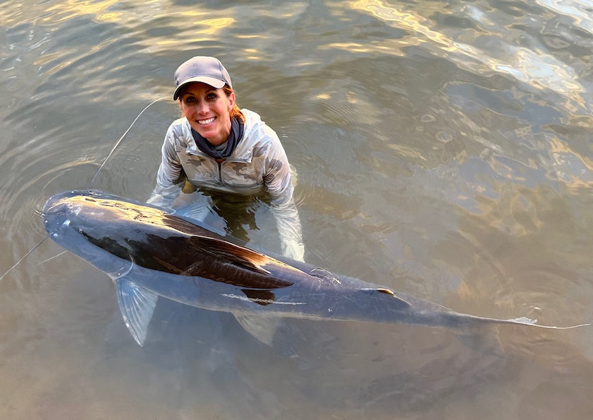 Author Anietra Hamper swims with the fishes in the Essequibo River. Her aquatic companion is a piraiba, a Goliath Catfish some anglers say is the Amazon's Freshwater Shark.