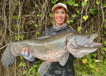 Wolf fish – 17.6lbs. – Anietra Wolf Fish