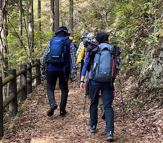 Hikers on the Mito Otaki Falls Road in Forest of Tokyo Citizen. Photo by Beth Reiber copy 3 Image
