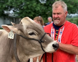 ng-brown swiss copy ng-brown