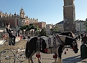 RynekGlownyandClothHall