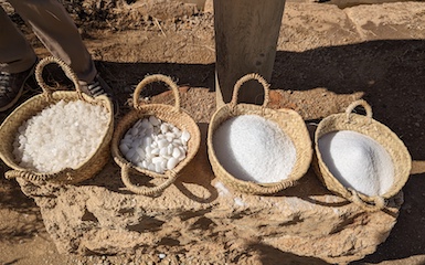 PXL_20240406_090354232 copy Image