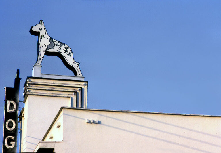 Moxley’s Dog and Cat Hospital