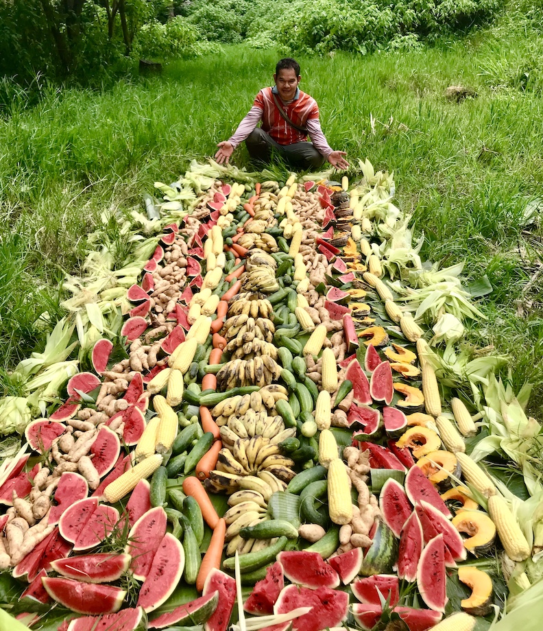 Feast for elephants
