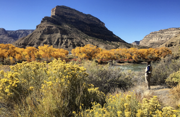 A roadside stop on I-70 near Rifle on the way to Grand Junction.
