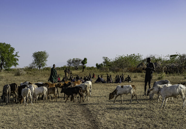 The wealthiest tribe in the region, as defined by the number of cattle they own, is the Mursi ethnic group. Most Omo Valley tribes are pastoralists, breeding cattle, sheep, and goats. Livestock is a means of survival, producing blood, milk, meat, and hides.