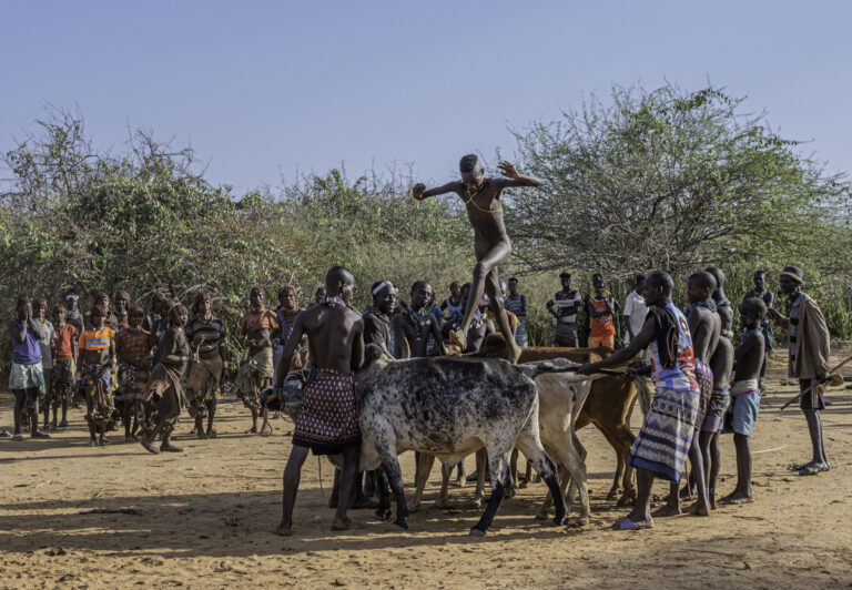 Unique to the Hamar tribe is the bull-jumping ceremony, where boys come of age by jumping over a line of cattle. After the leap, the young man is qualified to marry, own cattle, and have children.