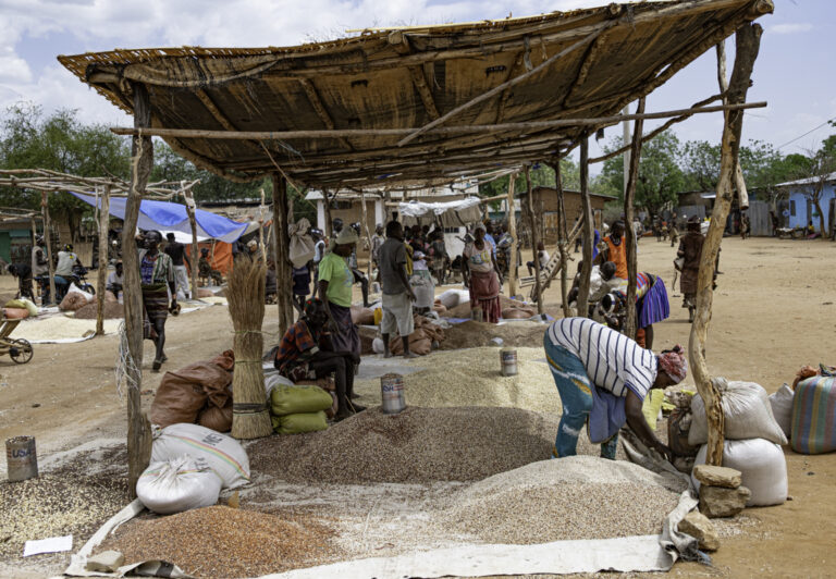 Turmi, the nearest town to the Omo Valley, is the site of a weekly market where both the Kara and Mursi tribes sell, barter, and buy vegetables, grains, beaded necklaces, and gourds.