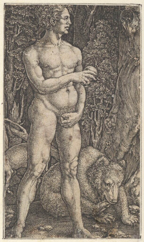 1529 German drawing of Adam in the Garden of Eden with a bear.