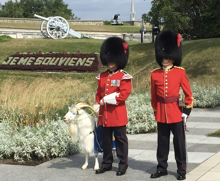in 1955, Queen Elizabeth gave Quebec's Royal 22nd Regiment a Persian goat named Batisse. Seven generations later, there still is a goat named Batisse at every changing of the guards ceremony.