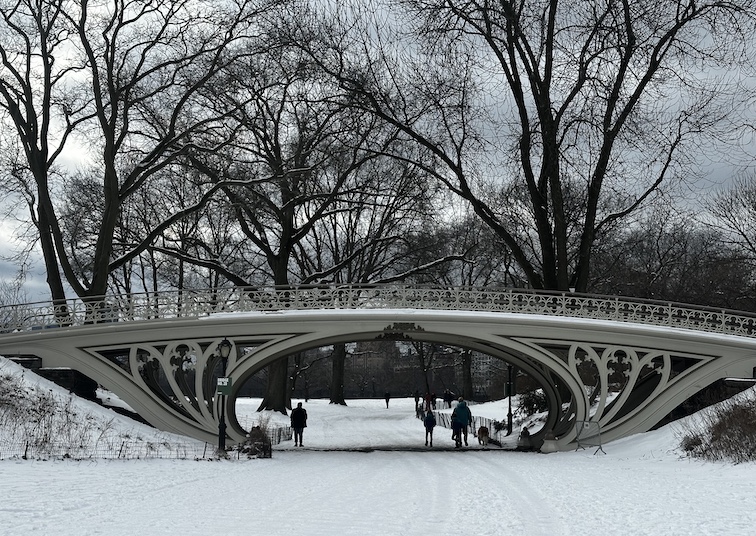 Central Park covered in snow