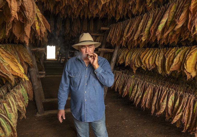 Maximo Perez in the curing shed he rebuilt after the hurricane.