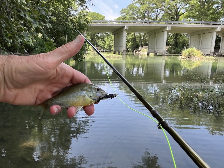 Bridge over the languid Guadalupe River in Texas' Hill Country