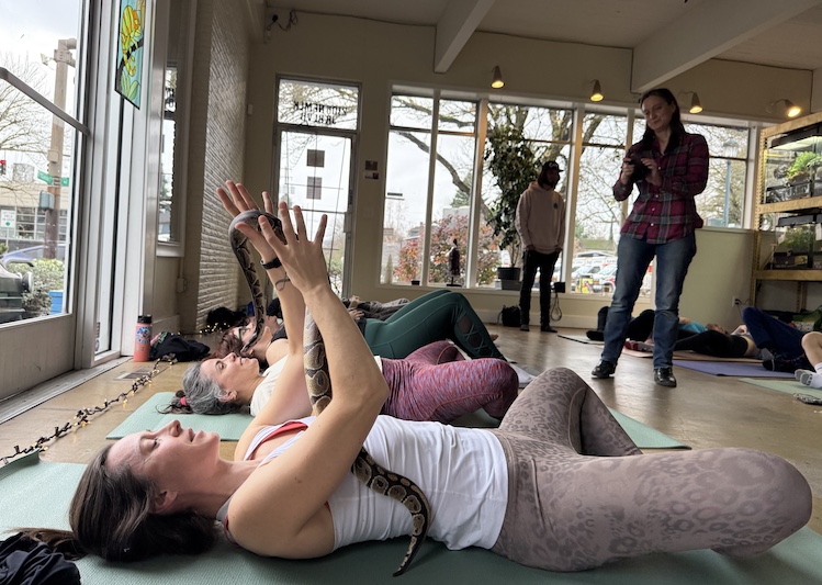 A snake yoga class at Hisss Reptile Store in Portland, Oregon. 