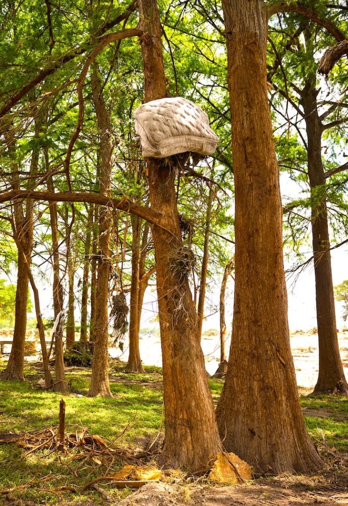 A mattress caught in a tree shows the height of the Guadalupe flood waters near the town of Hunt. 