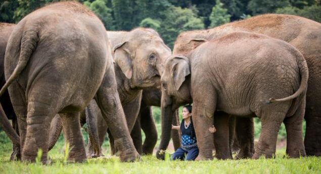 Asia Pacific travel recommendations