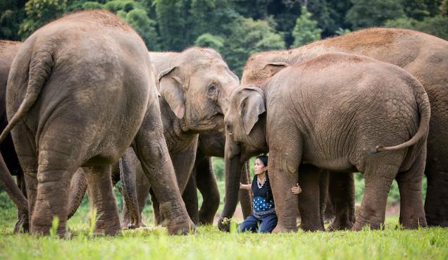 Asia Pacific travel recommendations