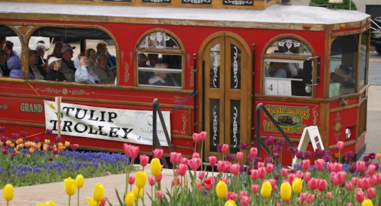 Europe-Travel-and-Cultural-Analysis