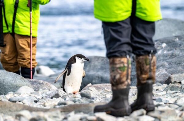 Travel and Cultural Analysis