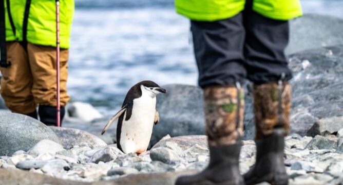 Travel and Cultural Analysis