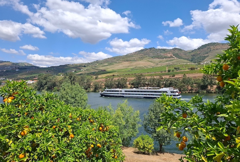 A cruise ship on the Douro River is framed by orange trees. 
