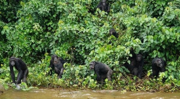 travel article