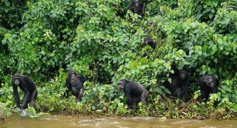 travel article