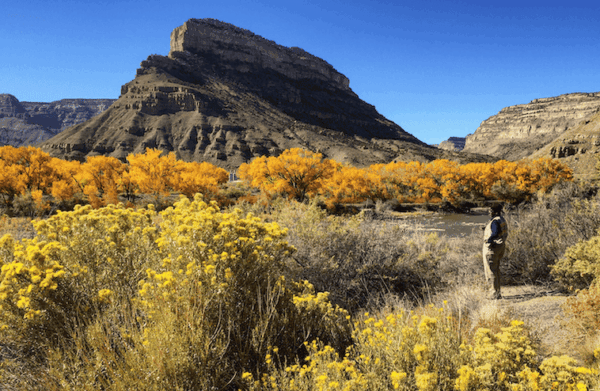 article for a travel magazine